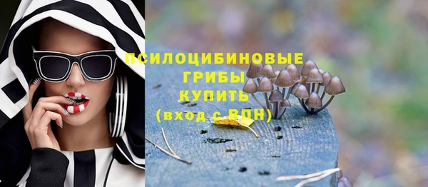 MESCALINE Горно-Алтайск