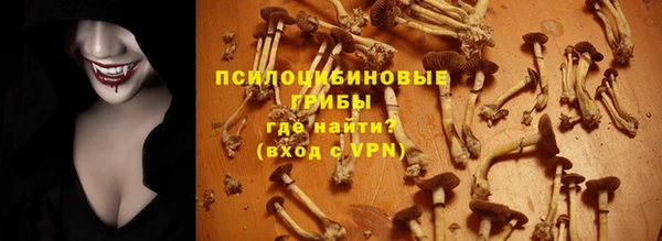 ECSTASY Горнозаводск